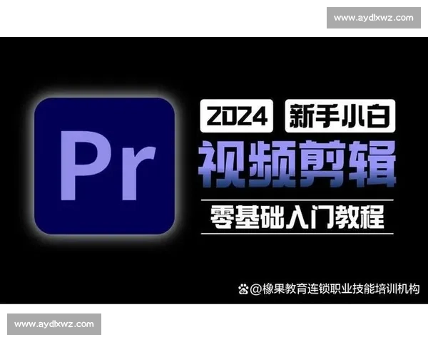 全方位剪辑技巧与创意实践培训课程 打造专业视频编辑能力